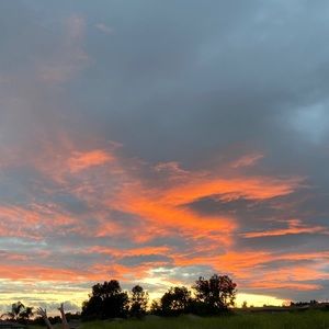 Meet your Posher, Sage